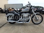    Harley Davidson XL883L-I Sportster883Low 2008  5